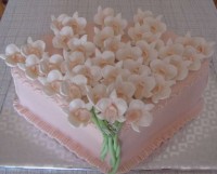 /album/svadobne/a155-800-jpg/