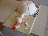 /album/krstinove/a439-800-jpg/