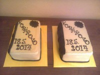 /album/ostatne/a1110-800-jpg/