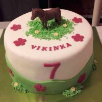 /album/detske/a1429-800-jpg/